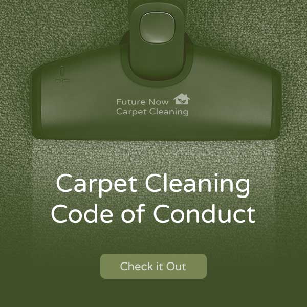 carper cleaning code of conduct